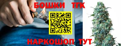индика Пугачёв