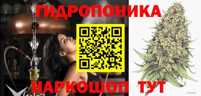 индика Пугачёв