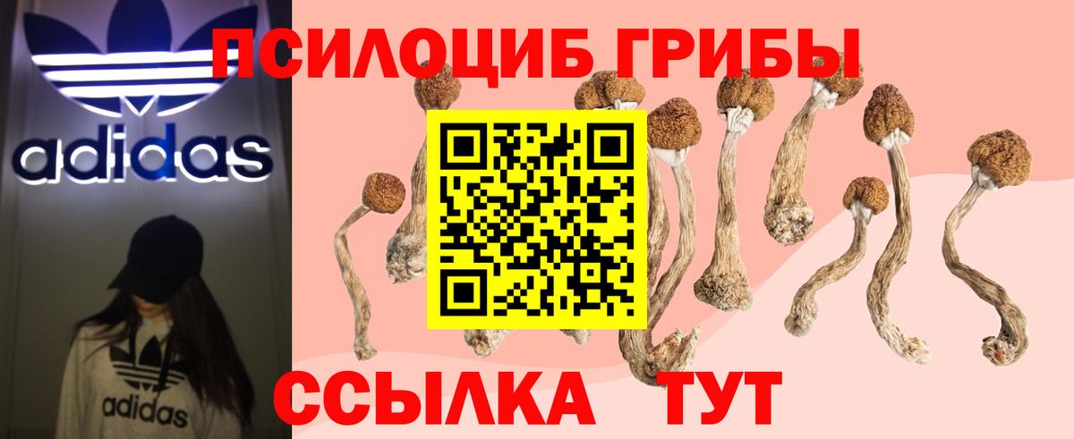Саров  Псилоцибиновые грибы прущие грибы  Галлюциногенные грибы GOLDEN TEACHER  Вход с VPN 